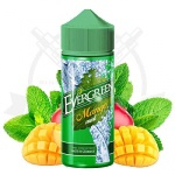 Evergreen - Mango Mint