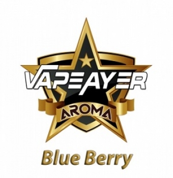 VapeAyer Blue Berry Aroma - 10ml