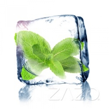 ZAZO Cool Mint