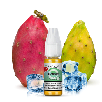 ELFLIQ by Elfbar – Cactus Ice Nikotinsalz Liquid 10ml