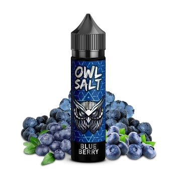 OWL Salt Longfill - Blueberry - Aroma 10ml