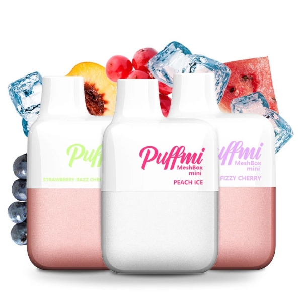 Puffmi Meshbox Mini 20mg Einweg