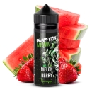 Dampflion Melon Berry Longfill Aroma – Flasche mit fruchtigem Design und Beeren-Melone Geschmack