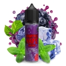 Vampire Vape Catapult Longfill Aroma 14ml – fruchtig-frisches E-Zigarettenaroma in markanter Flasche – jetzt bei Vaperking erhältlich
